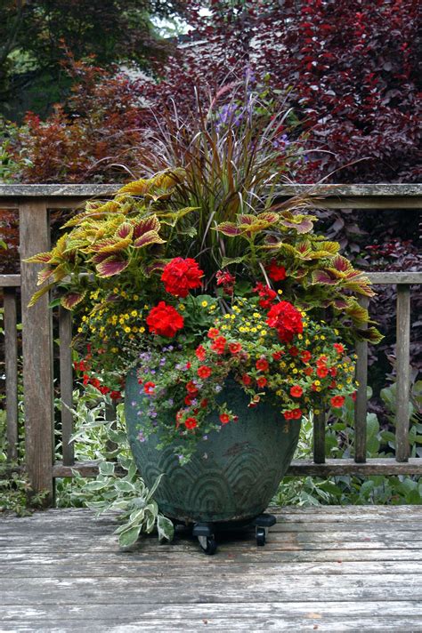 How To Plant In Large Outdoor Planters