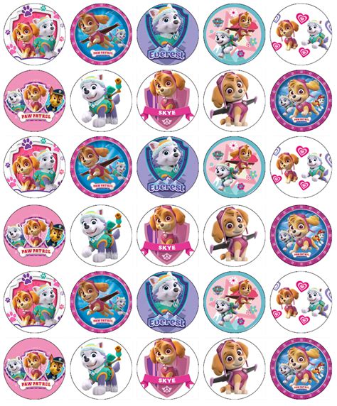 Paw Patrol Skye Everest Edible Cupcake Fairy Toppers Edible Wafer Paper
