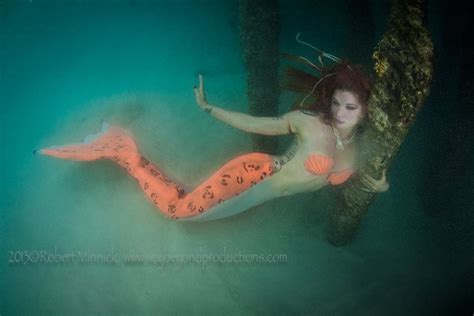 Fire Pixie Happenings Mermaid Swimming With Whale Sharks And Cancun S