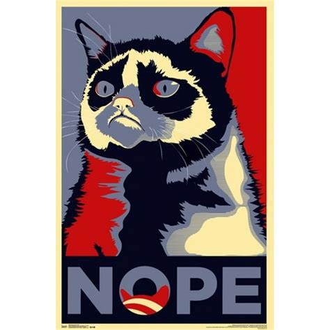 Grumpy Cat Nope Laminated Poster Print 24 X 36