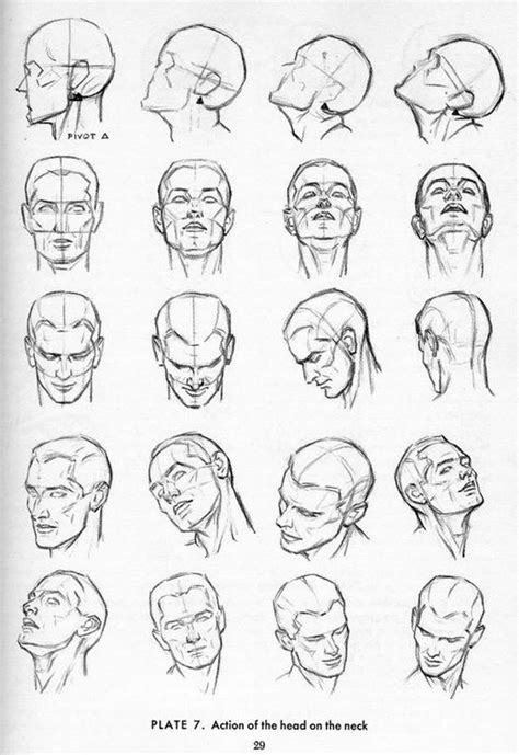 Drawing Human Head