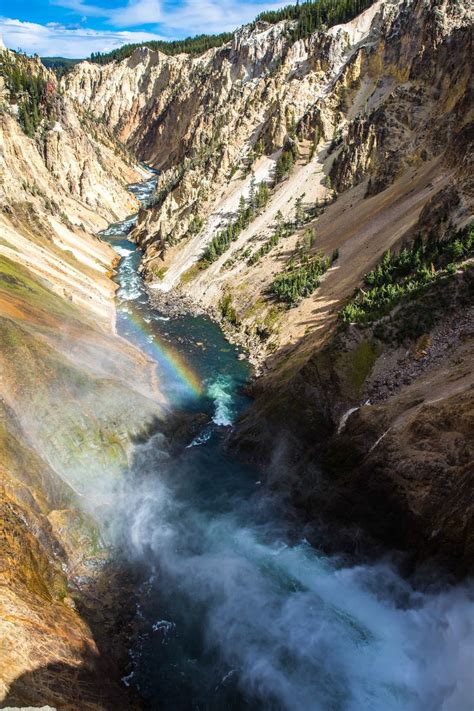 Come to yellowstone to see grizzly and black bears, thousands of wild bison, packs of wolves, giant waterfalls and the largest concentration of active geysers on earth. Yellowstone National Park, Yellowstone National Park, Wyoming - The...