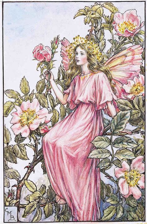 Hadas Y Elfos Rose Fairy Flower Fairies Vintage Fairies