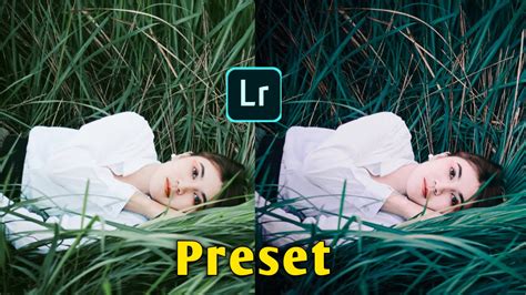 Rk editor zone 100 presets free download. Sr Editing Zone Preset Download / New Snapseed Photo ...