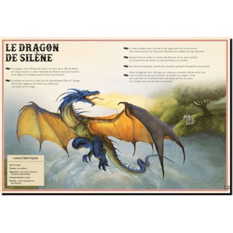 Le Livre Extraordinaire Des Dragons éd Little Urban