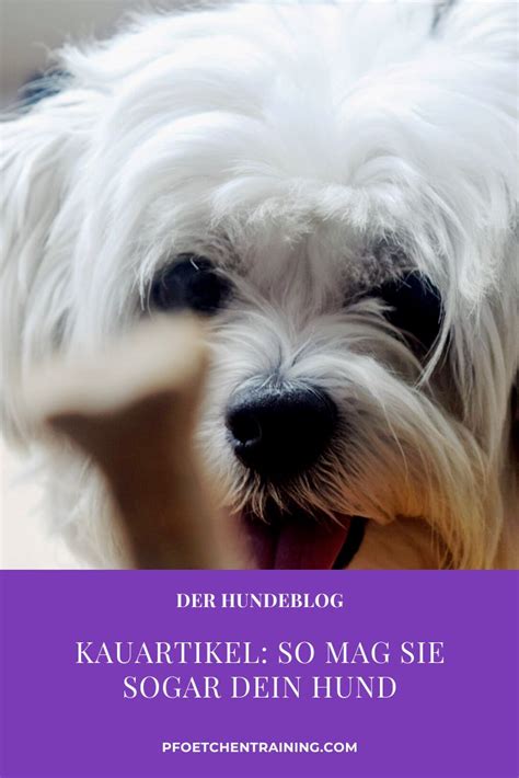 Das vorläufige zahnen eines welpen kann als abgeschlossen wenn sie ähnliche artikel lesen möchten wie wann bekommen hunde zähne? Kauartikel: so mag sie sogar dein Hund | Pfötchentraining ...