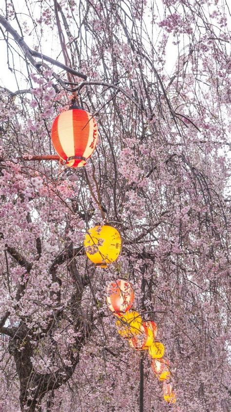 5 Things To Do In Sendai Japan Roaming Hills Tanabata Festival