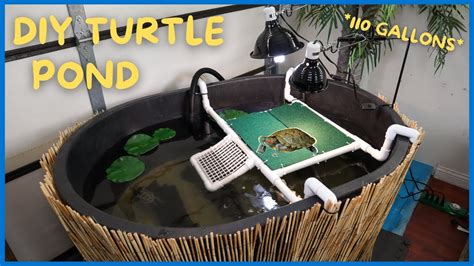 Setting Up 110 Gallon Indoor Turtle Pond Diy Youtube