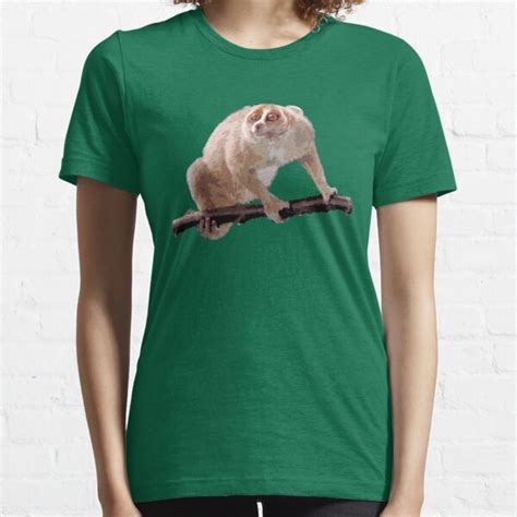 Slow Loris Womens T Shirts And Tops Redbubble