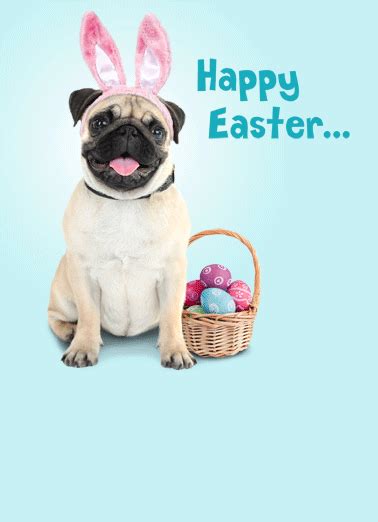 Pug Easter Funny Easter Card Happy Easter From Pugs Bunny Pug Dog