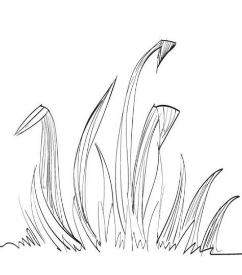 Gambar Mewarnai Rumput Terbaru | gambarcoloring