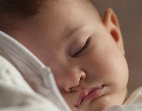 Regresión De Sueño En Bebé De 8 Meses Información Detallada