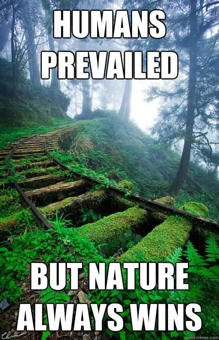 15 Funniest Mother Nature Memes On The Internet Right Now Consciously Inspired
