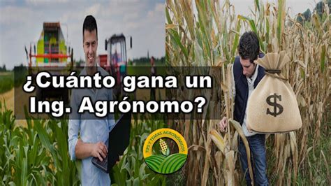 En mexico hay un sólo día para todas las ingenierías y es el 1 de julio. Que es y que hace un Ingeniero Agrónomo.