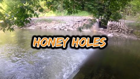Honey Holes Creek Fishing For Smallmouth Bass And More Youtube