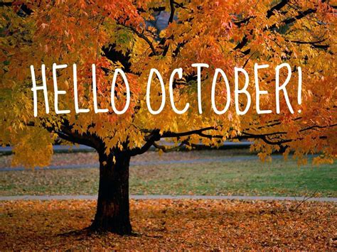 October Scenery Wallpapers Top Free October Scenery Backgrounds