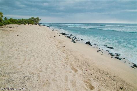 Pine Trees Beach Kohanaiki Beach Park Beaches On Big Island Kailua