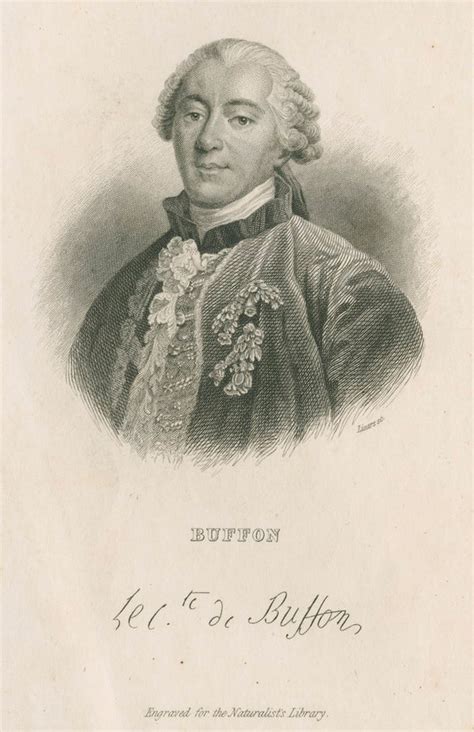 Portrait Of George Louis Leclerc Comte De Buffon 1707 1788 Posters