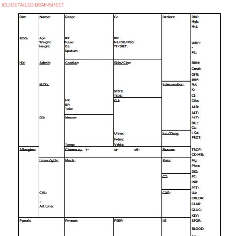 Printable pdf version nursing documentation to organize your day created by | ann dougherty. Icu Nurse Brain Sheet - Nurse Worksheet Template Nurse ...