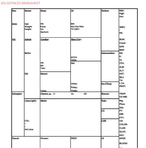 Icu brain 4_9_13 aqua author: Icu Nurse Brain Sheet - Nurse Worksheet Template Nurse ...