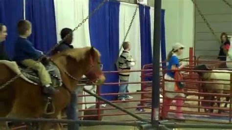Late 2010 Pony Rides At Petting Zoo Ky Horse Park Youtube