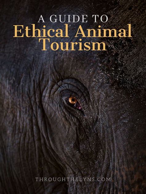 Ethical Animal Tourism