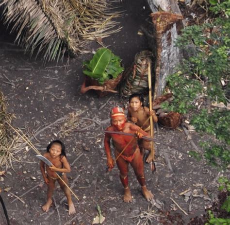 Ohne Kontakt Isoliert Lebende Völker Im Amazonas Gebiet Bilder And Fotos Welt