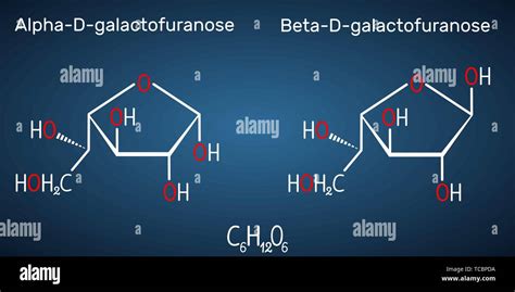 Galactose Alpha D Galactofuranose Beta D Galactofuranose Milk