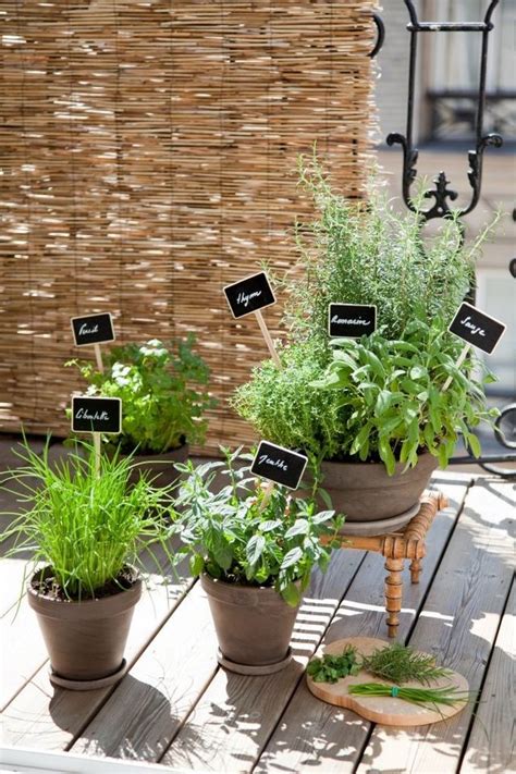 Comment planter des plantes aromatiques sur son balcon Côté Maison