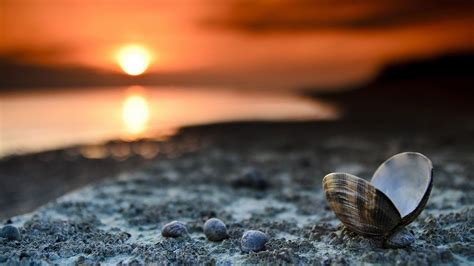 Maybe you would like to learn more about one of these? HD Wallpapers for Laptop - High Quality HD Wallpapers Nature