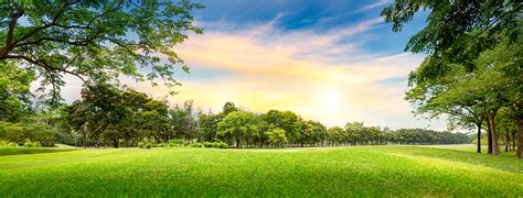 Picture Summer Nature Sky Park Lawn Grass Trees 5800x2214