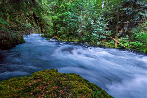 The mckenzie river trail stretches through the willamette national forest for 27 miles, offering shady surroundings, waterfalls, and scenic beauty all along the way. Blue Rush | McKenzie River, OR | Joseph C. Filer Fine Art ...