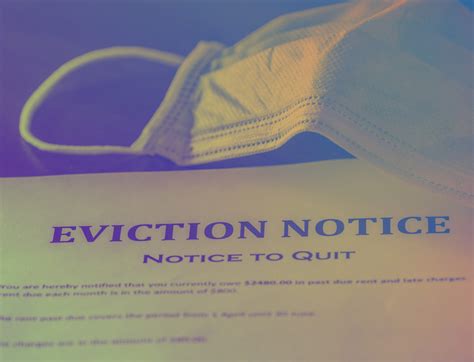 The American Eviction Crisis Explained The Appeal