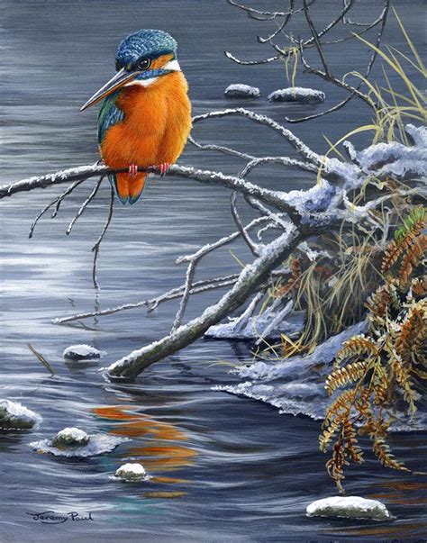 Winter Fishing Kingfisher By Uk Wildlife Artist Jeremy Paul
