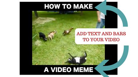 How to make a video meme - video meme generator in any ... Memes are used as photos, videos with text.