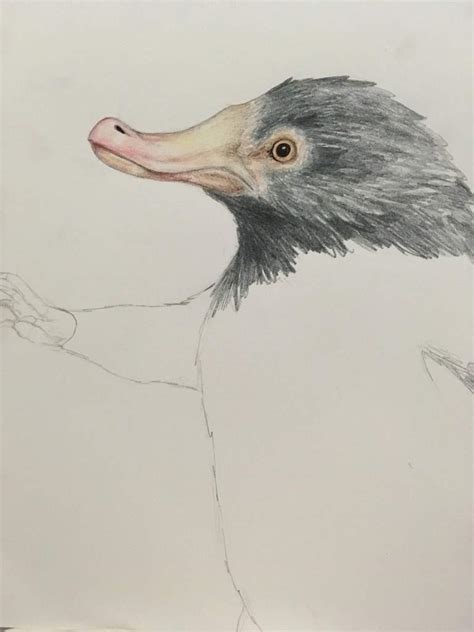 Niffler Fanart Harry Potter Amino