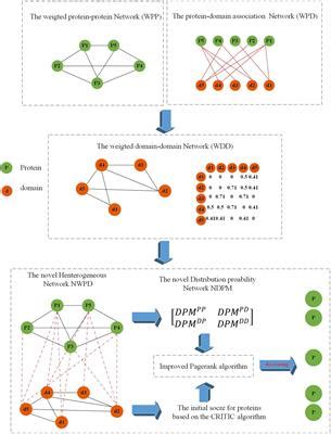 Frontiers | Method for Identifying Essential Proteins by Key Features