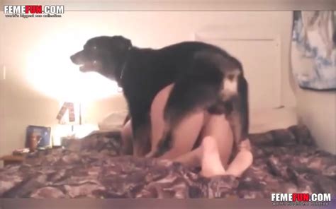 Horny As Hell Dog Fucks Masked Mom In Xxx Position Named In Its Honor