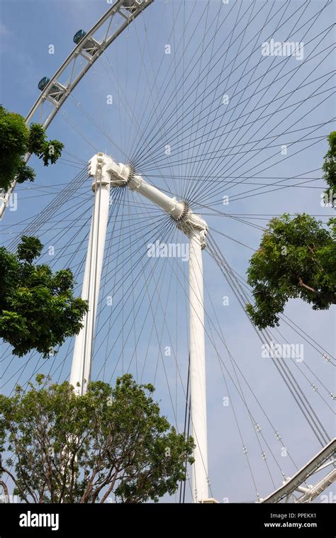 la noria gigante singapore flyer atracción turística por marina bay en el centro de singapur