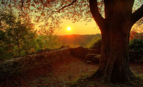 photography, Nature, Plants, Landscape, Trees, Fall, Sunset, Walls ...