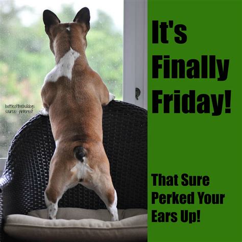 √ Its Finally Friday Meme