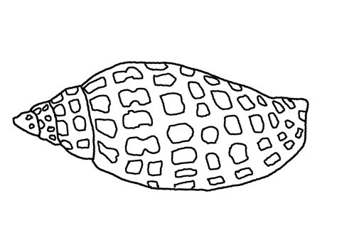 Show them the proper way how to color. Seashell Coloring Pages - GetColoringPages.com