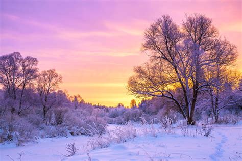 Cold Winter Landscape With Snow And Sunset Your Health
