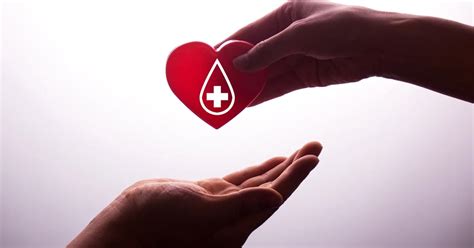 El 80 De La Población Necesitará Una Transfusión De Sangre En Algún Momento De Su Vida Infobae