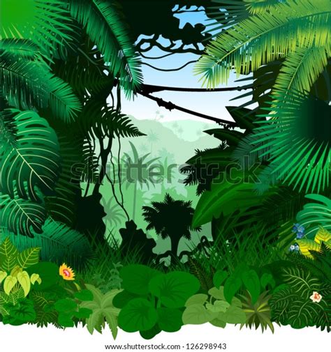 Vector Tropical Rainforest Jungle Stock Vector Royalty Free 126298943
