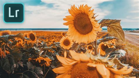 Orange has strong correspondence with enthusiasm. Cinematic Teal & Orange Look | LIGHTROOM Color Grading ...