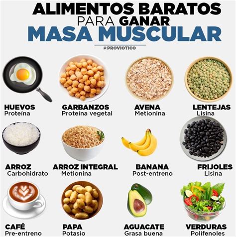 Pin De Luisa Navarro En Salud Alimentos Aumentar Masa Muscular