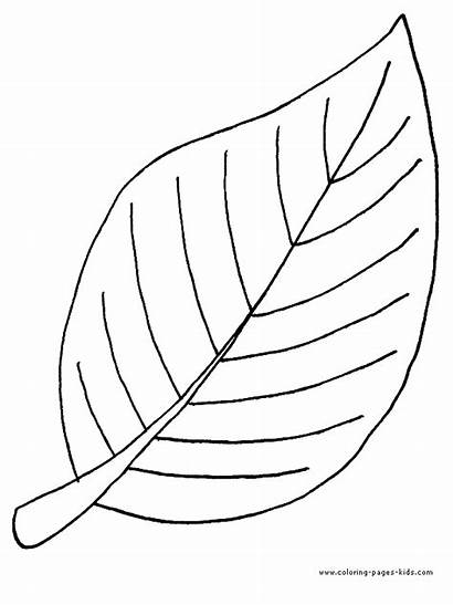 Plate Cookies Clipart Coloring Drawing Advertisement Leaf