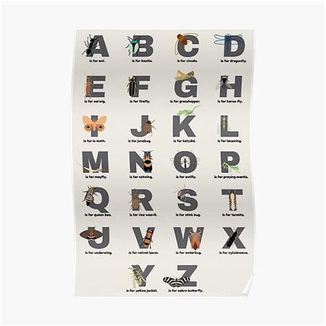 Insect Alphabet Poster For Sale By Babybigfoot Redbubble