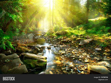 Mountain River With Forest Landscape Tranquil Waterfall Scenery In